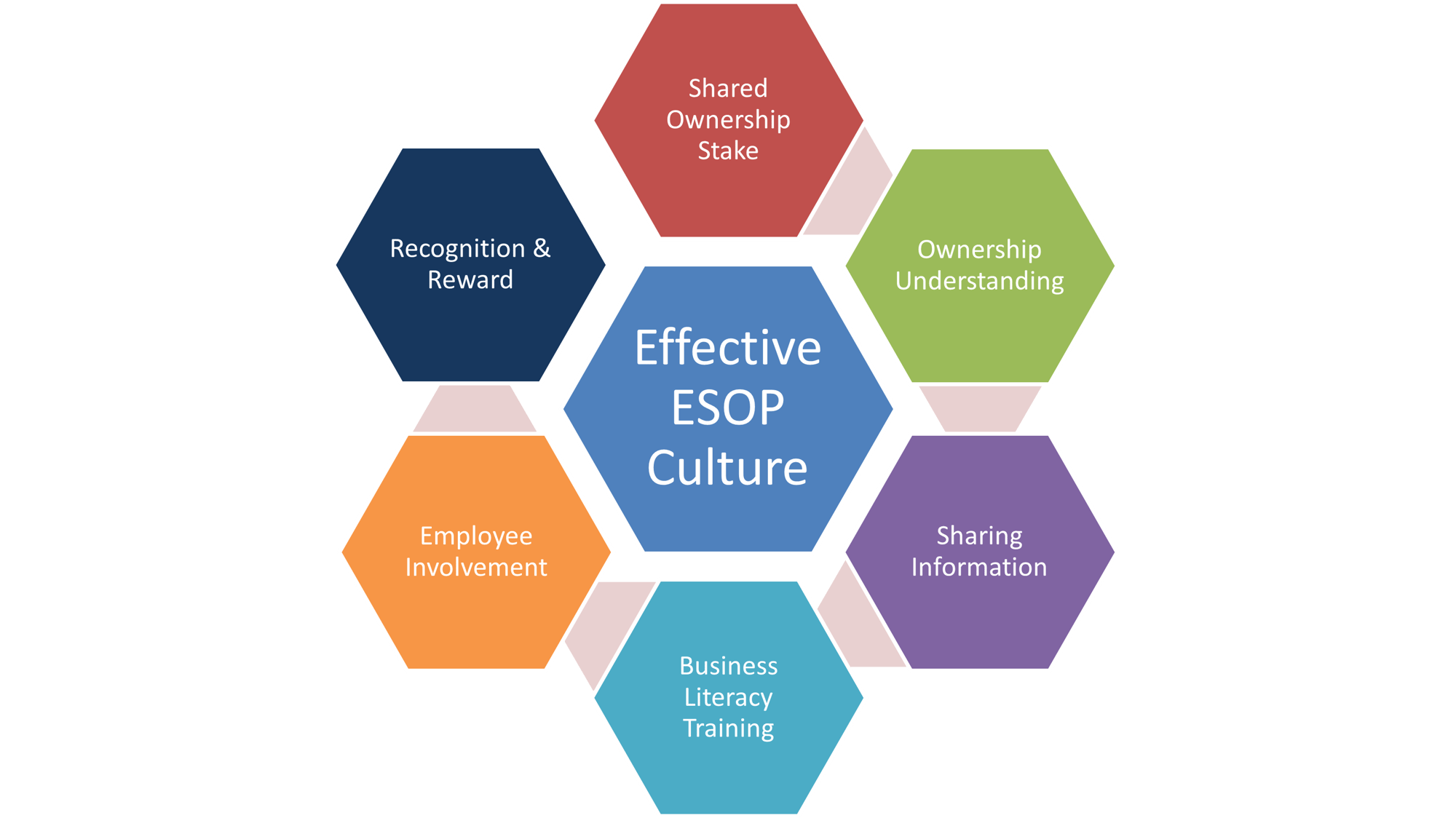 Effective ESOP Culture