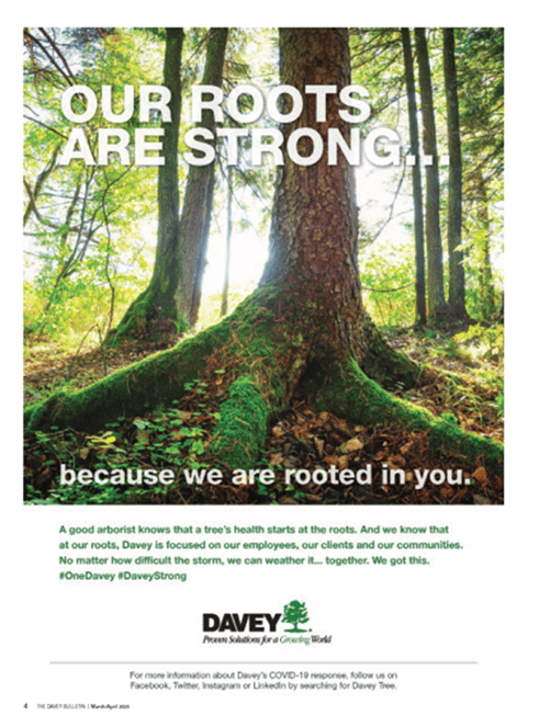 Davey Tree advertisement